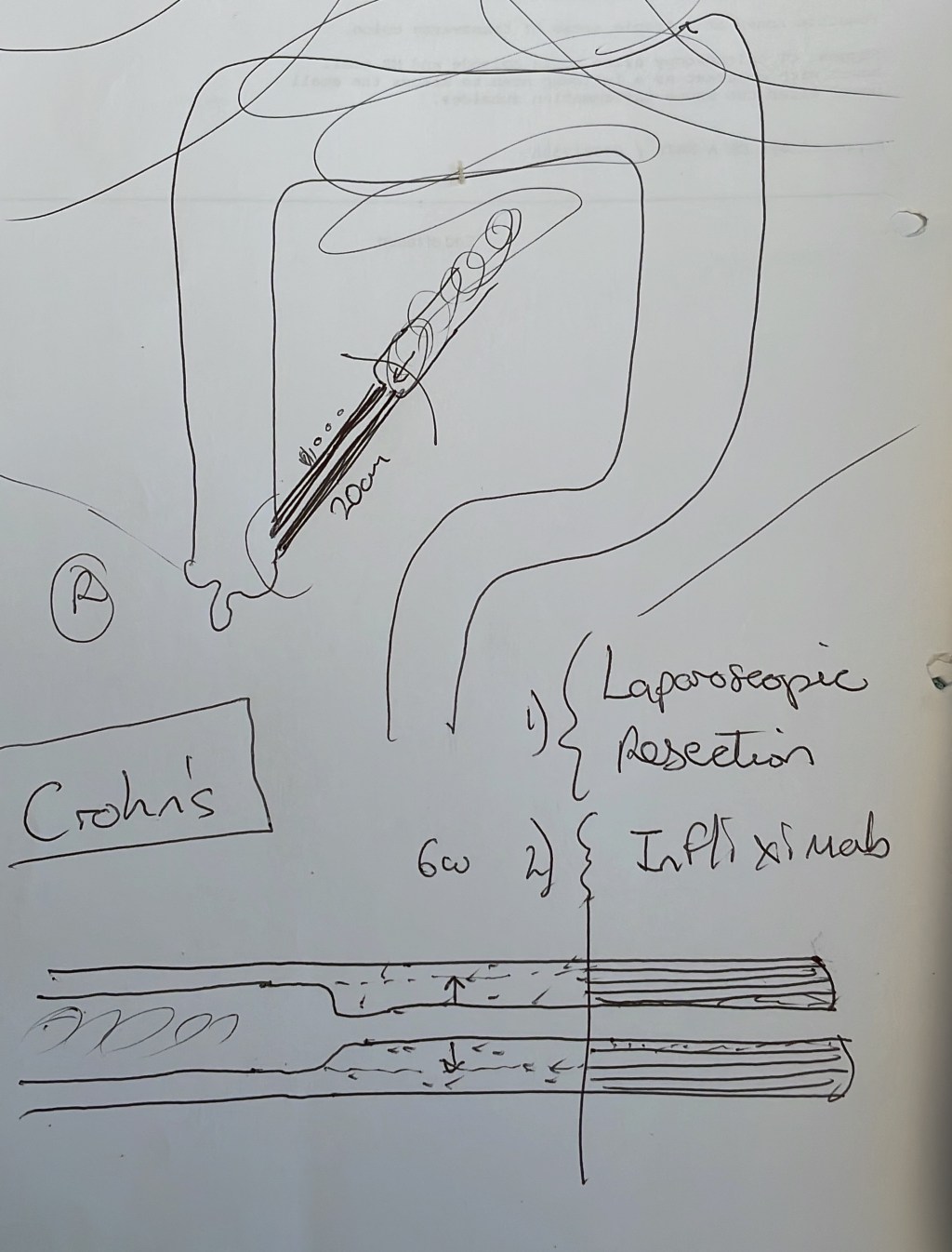 Life on the medical ward&nbsp;…